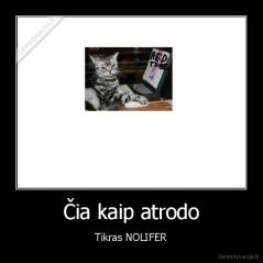 Čia kaip atrodo - Tikras NOLIFER