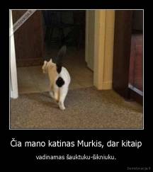 Čia mano katinas Murkis, dar kitaip - vadinamas šauktuku-šikniuku.