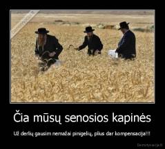 Čia mūsų senosios kapinės - Už derlių gausim nemažai pinigelių, plius dar kompensacija!!!