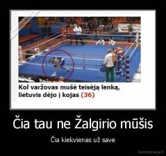 Čia tau ne Žalgirio mūšis - Čia kiekvienas už save