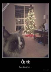 Čia tik - laiko klausimas...