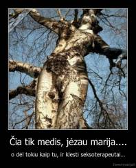 Čia tik medis, jėzau marija.... - o dėl tokiu kaip tu, ir klesti seksoterapeutai...