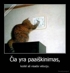 Čia yra paaiškinimas, - kodėl aš visada vėluoju.