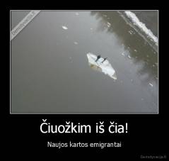 Čiuožkim iš čia! - Naujos kartos emigrantai