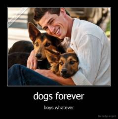 dogs forever - boys whatever