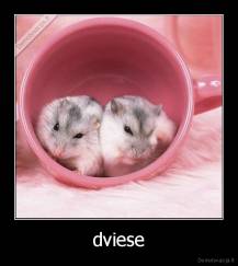 dviese - 