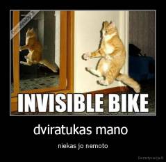 dviratukas mano  - niekas jo nemoto