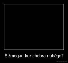 Ė žmogau kur chebra nubėgo? - 