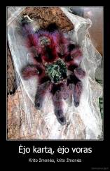 Ėjo kartą, ėjo voras - Krito žmonės, krito žmonės