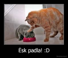 Ėsk padla! :D - 