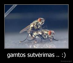 gamtos sutvėrimas .. :) - 