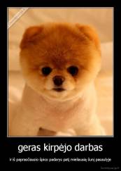 geras kirpėjo darbas - ir iš paprasčiausio špico padarys patį mieliausią šunį pasaulyje