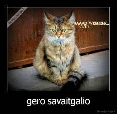 gero savaitgalio - 