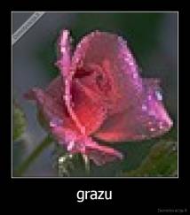 grazu - 