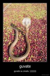 guvate - gyvate su zmailu :))))))))