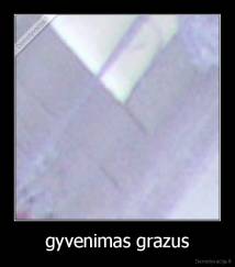 gyvenimas grazus - 