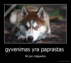 gyvenimas yra paprastas  - tik juo mėgaukis