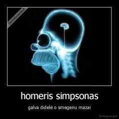 homeris simpsonas - galva didelė o smegenu mazai