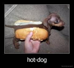 hot-dog - 