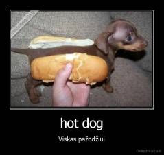 hot dog - Viskas pažodžiui