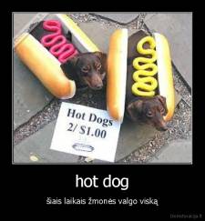 hot dog - šiais laikais žmonės valgo viską