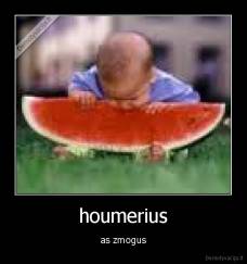 houmerius - as zmogus