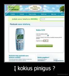 Į kokius pinigus ? - 