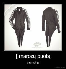 Į marozų puotą - pasiruošęs