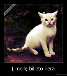 Į meilę bilieto nėra. - 