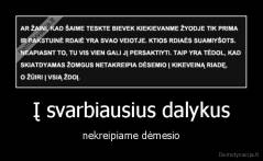 Į svarbiausius dalykus - nekreipiame dėmesio