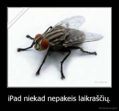 iPad niekad nepakeis laikraščių. - 