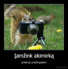 Įamžink akimirką - prieš jai pradingstant