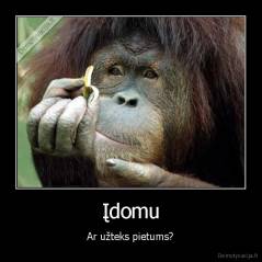 Įdomu - Ar užteks pietums?