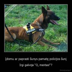 Įdomu ar paprasti šunys pamatę policijos šunį - Irgi galvoja "O, mentas!"?