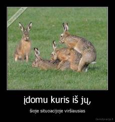 įdomu kuris iš jų, - šioje situoacijoje viršiausias