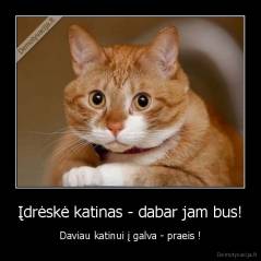Įdrėskė katinas - dabar jam bus! - Daviau katinui į galva - praeis !
