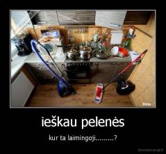 ieškau pelenės - kur ta laimingoji.........?