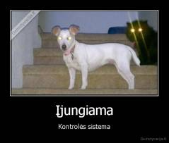 Įjungiama - Kontrolės sistema