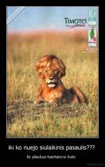 iki ko nuejo siulaikinis pasaulis???  - iki plaukus tvarkanciu liutu  