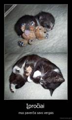 Įpročiai  - mus paverčia savo vergais