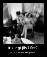 ir kur gi jūs žiūrit?! - aš čia, į mane žiūrėkit, į mane...