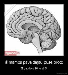 iš mamos paveldėjau puse proto - JI gaudavo 10 ,o aš 5