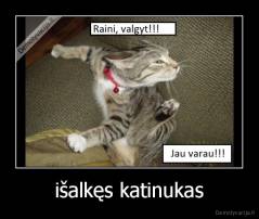išalkęs katinukas - 