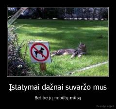 Įstatymai dažnai suvaržo mus - Bet be jų nebūtų mūsų