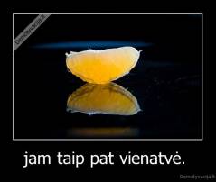 jam taip pat vienatvė.  - 