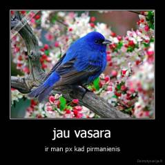 jau vasara - ir man px kad pirmanienis