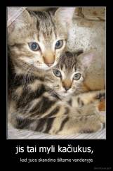 jis tai myli kačiukus,  - kad juos skandina šiltame vandenyje