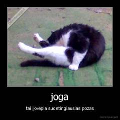 joga - tai įkvepia sudetingiausias pozas