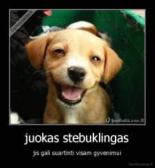 juokas stebuklingas - jis gali suartinti visam gyvenimui