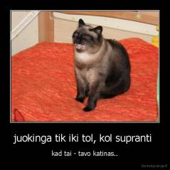 juokinga tik iki tol, kol supranti  - kad tai - tavo katinas..